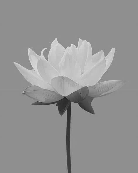 Cựu tuyển thủ bóng đá vừa qua đờ