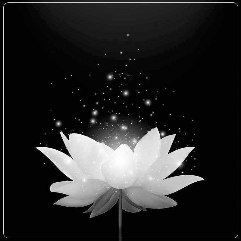 Ngu yên nh ân xe khách chở đoàn thiện nguyện l;;ật ng;;ử a, 9 người tuvong –